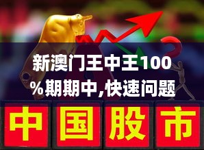 新澳门王中王100%期期中|精选解析解释落实,新澳门王中王期期中精选解析，探索与落实