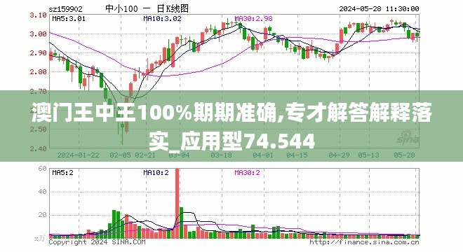 新澳门王中王100%期期中2024辛|构建释义解释落实,新澳门王中王期期中释义解释与落实策略