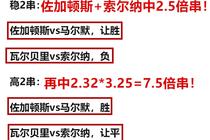 澳门一肖一特一码一中,详细解答解释落实,澳门一肖一特一码一中与违法犯罪问题解析