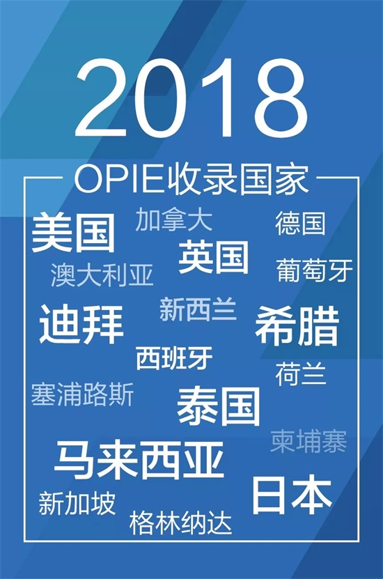 新澳2024正版资料大全,精选解析解释落实,新澳2024正版资料大全与精选解析，深入解读与实际应用