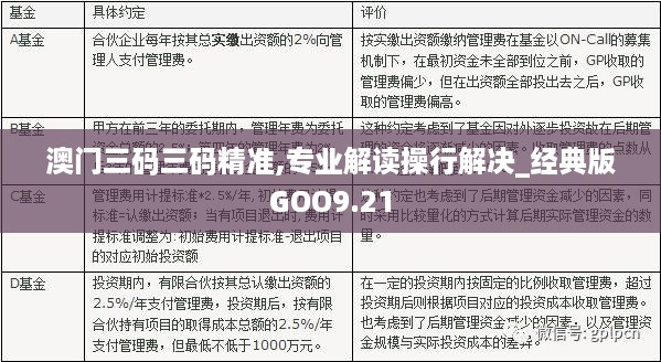 澳门三码三码精准100,精选解析解释落实,澳门三码三码精准解析与落实策略，探索成功的秘诀